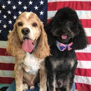 Meet your Posher, Eric